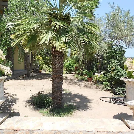 Andalas Olbia